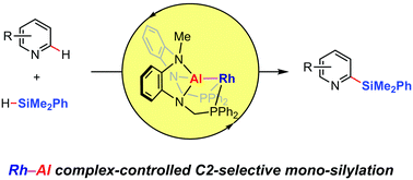 Graphical abstract: C2-Selective silylation of pyridines by a rhodium–aluminum complex