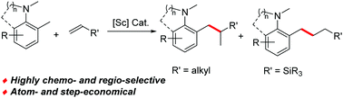 Graphical abstract: Benzylic C–H addition of aromatic amines to alkenes using a scandium catalyst