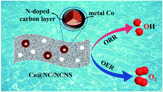 Graphical abstract: Metal alkoxide-derived Co@NC/NCNS as a highly efficient bifunctional oxygen electrocatalyst