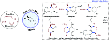 Graphical abstract: Enamides and dienamides in phosphoric acid-catalysed enantioselective cycloadditions for the synthesis of chiral amines