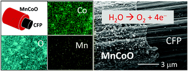 Graphical abstract: Low-temperature fabrication of crystalline MnCoO spinel film on porous carbon paper for efficient oxygen evolution reaction
