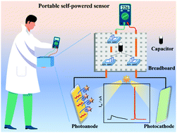 Graphical abstract: A portable signal-on self-powered aptasensor for ultrasensitive detection of sulfadimethoxine based on dual amplification of a capacitor and biphotoelectrodes