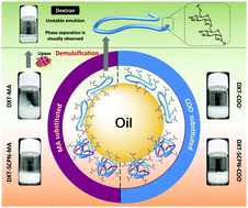 Graphical abstract: Interfacial activity of modified dextran polysaccharide to produce enzyme-responsive oil-in-water nanoemulsions