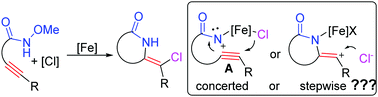 Graphical abstract: Iron-catalyzed stereoselective haloamidation of amide-tethered alkynes