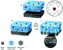 Graphical abstract: Cellulose acetate containing CaO coated on polypropylene for enhanced thermal stability of separator