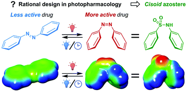 Graphical abstract: Biaryl sulfonamides as cisoid azosteres for photopharmacology