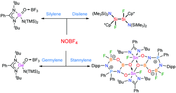 Graphical abstract: The diverse reactivity of NOBF4 towards silylene, disilene, germylene and stannylene