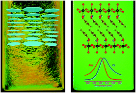 Graphical abstract: Lyotropic liquid crystalline phases of anisotropic nanoparticles of organic–inorganic metal halide perovskites: photoluminescence from self-assembled ordered microstructures of semiconductors
