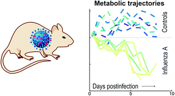 Graphical abstract: In vivo monitoring of volatile metabolic trajectories enables rapid diagnosis of influenza A infection