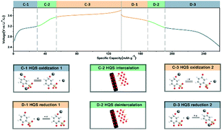 Graphical abstract: Insight into the reversible conversion–(de)incorporation of redox-active dopants within a polymer-based electrode