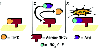 Graphical abstract: Using silyl protecting group to enable post-deposition C–C coupling reactions of alkyne-functionalized N-heterocyclic carbene monolayers on Au surfaces