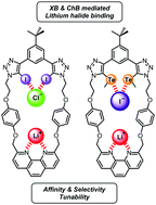 Graphical abstract: Lithium halide ion-pair recognition with halogen bonding and chalcogen bonding heteroditopic macrocycles