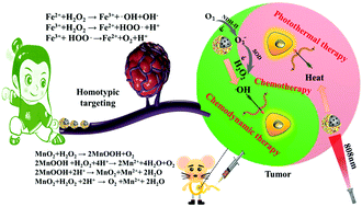 Graphical abstract: Co-biomembrane-coated Fe3O4/MnO2 multifunctional nanoparticles for targeted delivery and enhanced chemodynamic/photothermal/chemo therapy