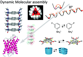 Graphical abstract: Dynamics of proton, ion, molecule, and crystal lattice in functional molecular assemblies