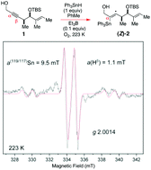 Graphical abstract: EPR evidence for α-triphenylstannylvinyl radicals in the O-directed hydrostannation of dialkylacetylenes with Ph3SnH/cat. Et3B/O2