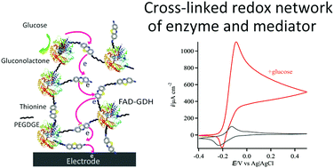 Graphical abstract: Designing a cross-linked redox network for a mediated enzyme-based electrode