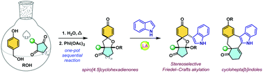 Graphical abstract: Design, synthesis and application of spiro[4.5]cyclohexadienones via one-pot sequential p-hydroxybenzylation/oxidative dearomatization