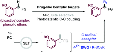 Graphical abstract: Easy access to drug building-blocks through benzylic C–H functionalization of phenolic ethers by photoredox catalysis