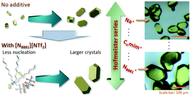 Graphical abstract: Ionic additive strategy to control nucleation and generate larger single crystals of 3D covalent organic frameworks