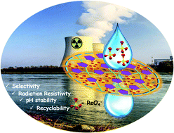 Graphical abstract: Superiority of a polymeric scavenger over its hexapodal monomer towards efficient ReO4− removal in water