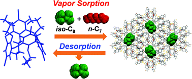 Graphical abstract: Selective separation of branched alkane vapor by thiacalixarene supramolecular crystals having shape-recognition properties