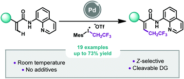 Graphical abstract: Z-Selective Pd-catalyzed 2,2,2-trifluoroethylation of acrylamides at room temperature