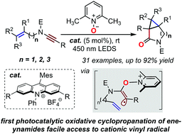 Graphical abstract: Photoinduced oxidative cyclopropanation of ene-ynamides: synthesis of 3-aza[n.1.0]bicycles via vinyl radicals