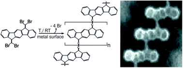 Graphical abstract: Cumulene-like bridged indeno[1,2-b]fluorene π-conjugated polymers synthesized on metal surfaces