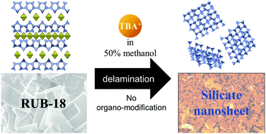 Graphical abstract: Preparation of silicate nanosheets by delaminating RUB-18 for transparent, proton conducting membranes