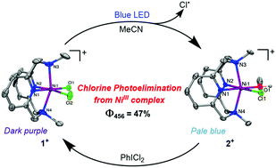 Graphical abstract: Photoreductive chlorine elimination from a Ni(iii)Cl2 complex supported by a tetradentate pyridinophane ligand