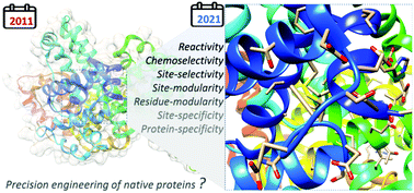 Graphical abstract: Chemical technologies for precise protein bioconjugation interfacing biology and medicine