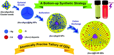 Graphical abstract: Quantized doping of CdS quantum dots with twelve gold atoms
