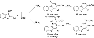 Graphical abstract: Diversity-oriented synthesis of benzofuro[3,2-b]pyridine derivatives from aurone-derived α,β-unsaturated imines and activated terminal alkynes