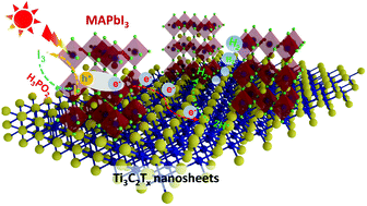 Graphical abstract: MAPbI3 microcrystals integrated with Ti3C2Tx MXene nanosheets for efficient visible-light photocatalytic H2 evolution