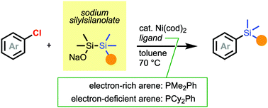 Graphical abstract: Sodium silylsilanolate enables nickel-catalysed silylation of aryl chlorides