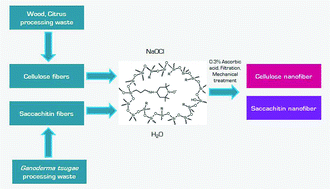 Graphical abstract: Enhanced polysaccharide nanofibers via oxidation over SiliaCat TEMPO