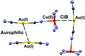 Graphical abstract: Unprecedented [d9]Cu⋯[d10]Au coinage bonding interactions in {Cu(NH3)4[Au(CN)2]}+[Au(CN)2]− salt