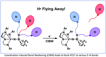 Graphical abstract: Facile proton-coupled electron transfer enabled by coordination-induced E–H bond weakening to boron