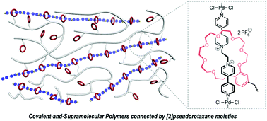Graphical abstract: Synergistic covalent-and-supramolecular polymers connected by [2]pseudorotaxane moieties