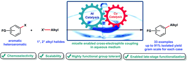 Graphical abstract: Micelle enabled C(sp2)–C(sp3) cross-electrophile coupling in water via synergistic nickel and copper catalysis