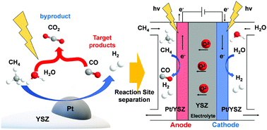 Graphical abstract: Active site separation of photocatalytic steam reforming of methane using a gas-phase photoelectrochemical system