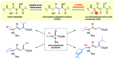 Graphical abstract: Stereoselective synthesis of highly functionalized (Z)-chloroalkene dipeptide isosteres containing an α,α-disubstituted amino acid