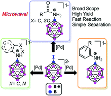 Graphical abstract: B–N bond formation through palladium-catalyzed, microwave-assisted cross-coupling of nitrogen compounds with iodo-dodecaborate