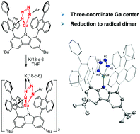 Graphical abstract: A stable tetrazagallole and its radical anion dimer