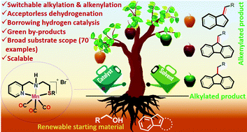 Graphical abstract: Manganese catalyzed switchable C-alkylation/alkenylation of fluorenes and indene with alcohols
