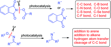 Graphical abstract: Photocatalytic cross-couplings via the cleavage of N–O bonds
