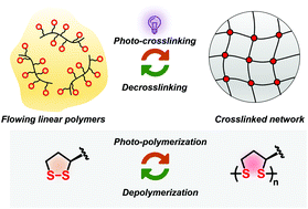 Graphical abstract: Photo-crosslinking polymers by dynamic covalent disulfide bonds