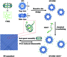 Graphical abstract: Hierarchical protein self-assembly into dynamically controlled 2D nanoarrays via host–guest chemistry