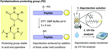 Graphical abstract: A novel thiol-labile cysteine protecting group for peptide synthesis based on a pyridazinedione (PD) scaffold