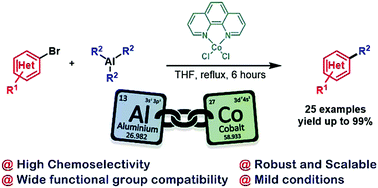 Graphical abstract: Cobalt-catalyzed cross-coupling reactions of aryl- and alkylaluminum derivatives with (hetero)aryl and alkyl bromides